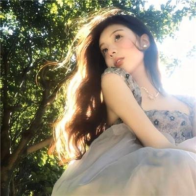 狗的生涯
