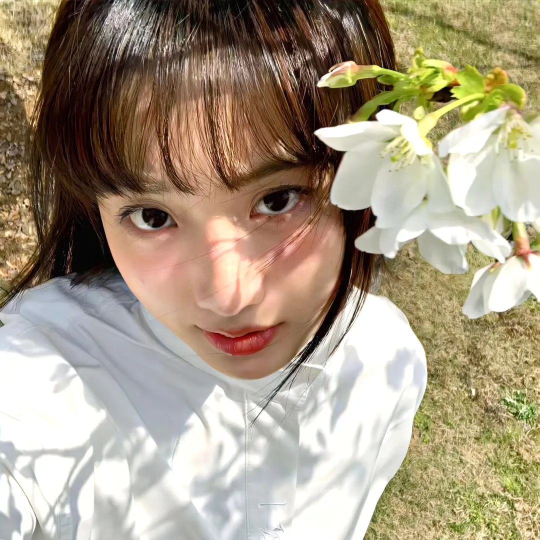 机器肉鸡第六季